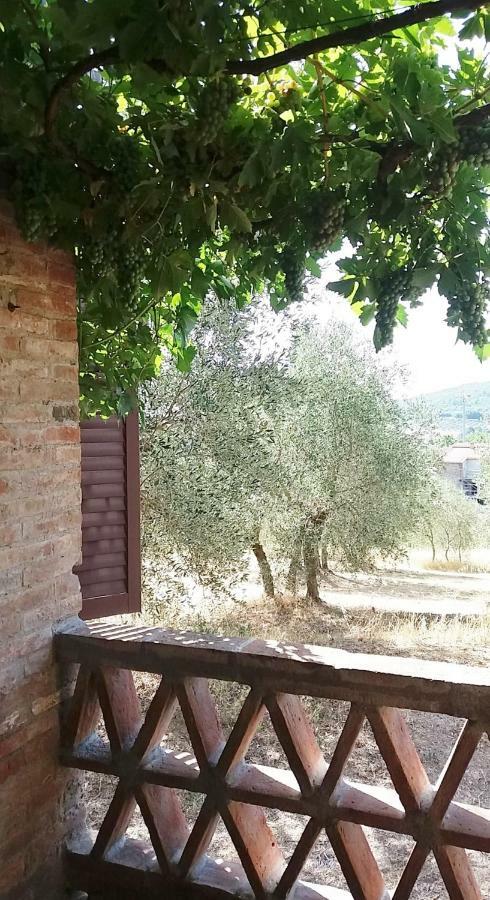 Casa Dei Borghi Villa Murlo Bagian luar foto